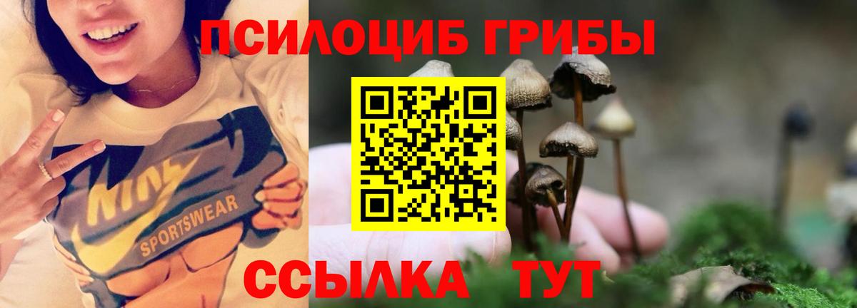 Псилоцибиновые грибы Cubensis  Вход с VPN  где купить наркоту  Вязьма 